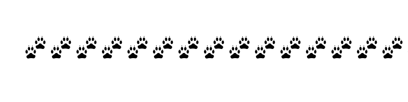 font preview of TRACKS